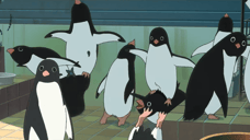 PENGUIN HIGHWAY Anime Film Releases Blu-ray & DVD On January 2019