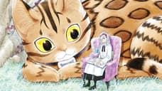 A CAT FROM OUR WORLD AND THE FORGOTTEN WITCH Manga Series Licensed