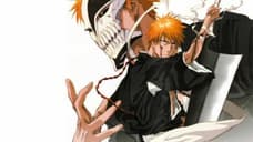 Former BLEACH Animator Has No Idea If The Popular Anime Will Ever Return