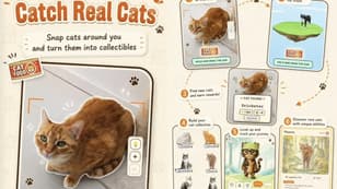 Forget Pokémon GO, This New App Lets Cat Lovers Collect Their Furry Friends Instead