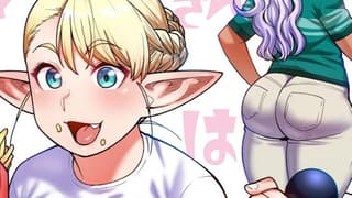 Seven Seas Licenses SHIN PLUS-SIZED ELF Sequel Manga Series