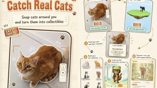 Forget Pokémon GO, This New App Lets Cat Lovers Collect Their Furry Friends Instead