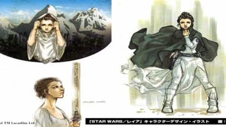 STAR WARS: LEIA OJO NO SHIREN Manga Goes On Hiatus