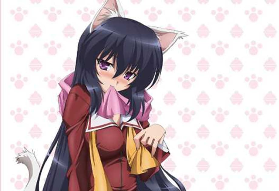 Check Out FUNimation's Release Trailer For OMAMORI HIMARI