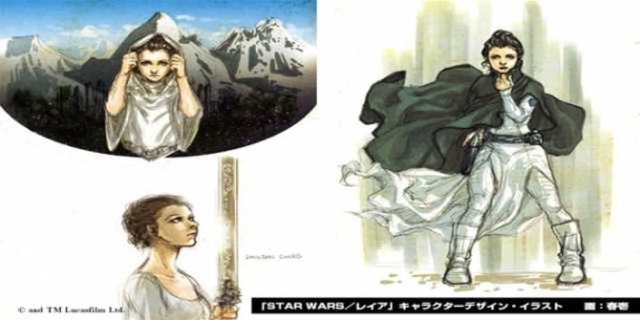 STAR WARS: LEIA OJO NO SHIREN Manga Goes On Hiatus