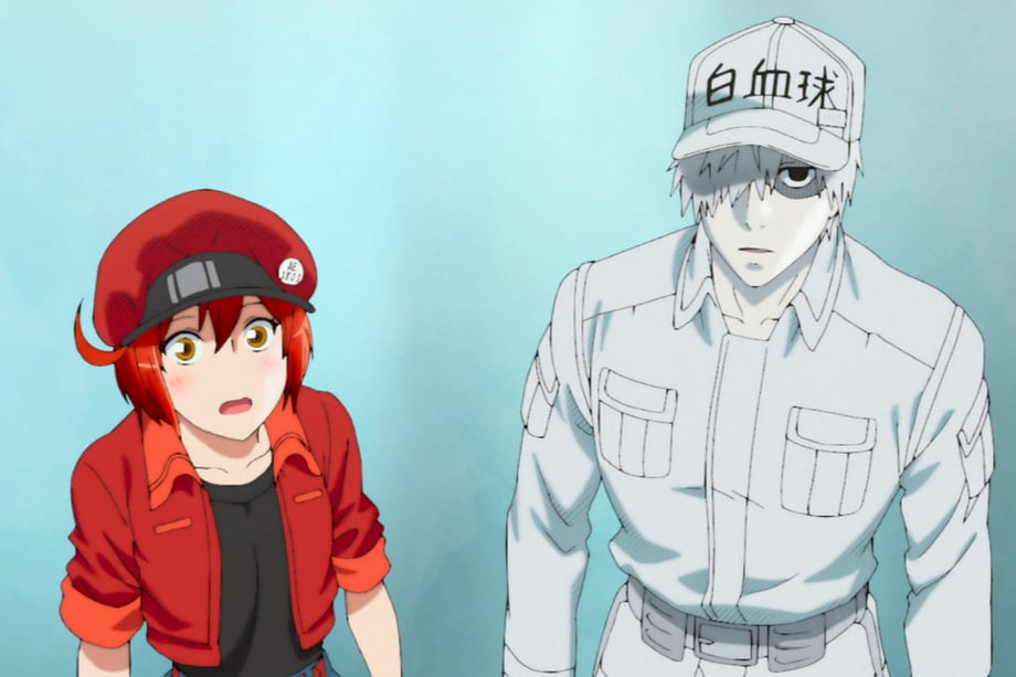 CELLS AT WORK Live Play Has Revealed The Staff In Their Official Costumes