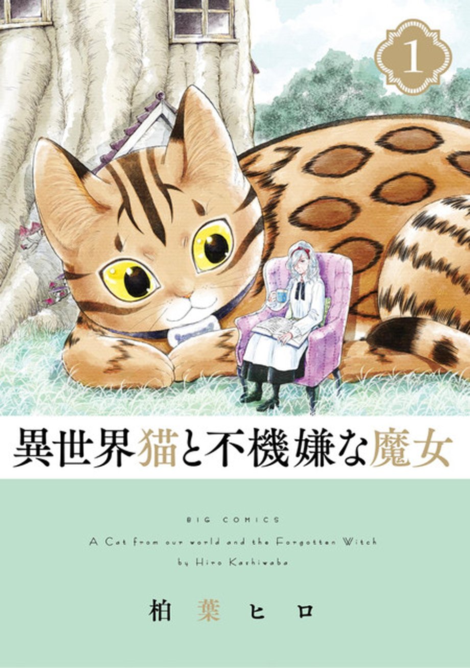 Cat-From-Our-World-Forgotten-Witch-img