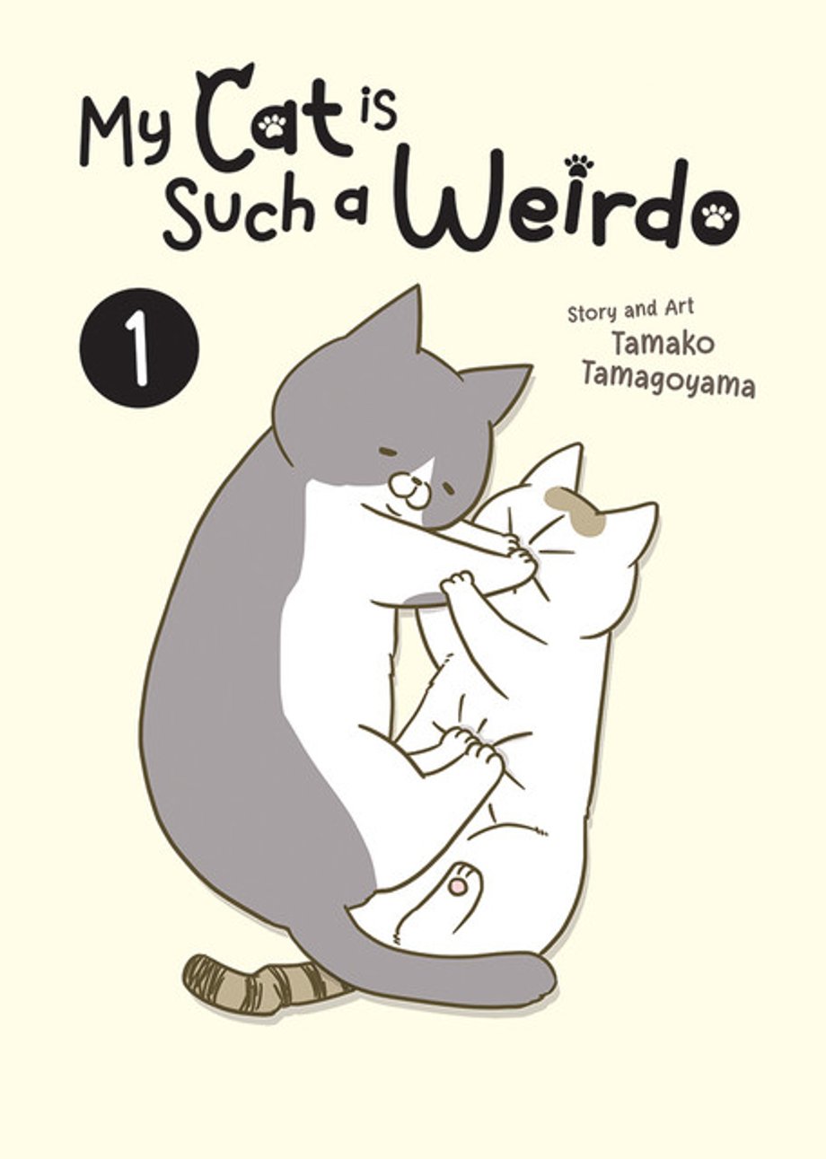 My-Cat-Is-Such-AWeirdo-img