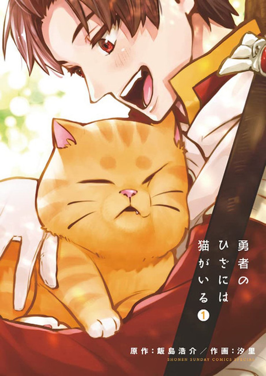 CatOnLap