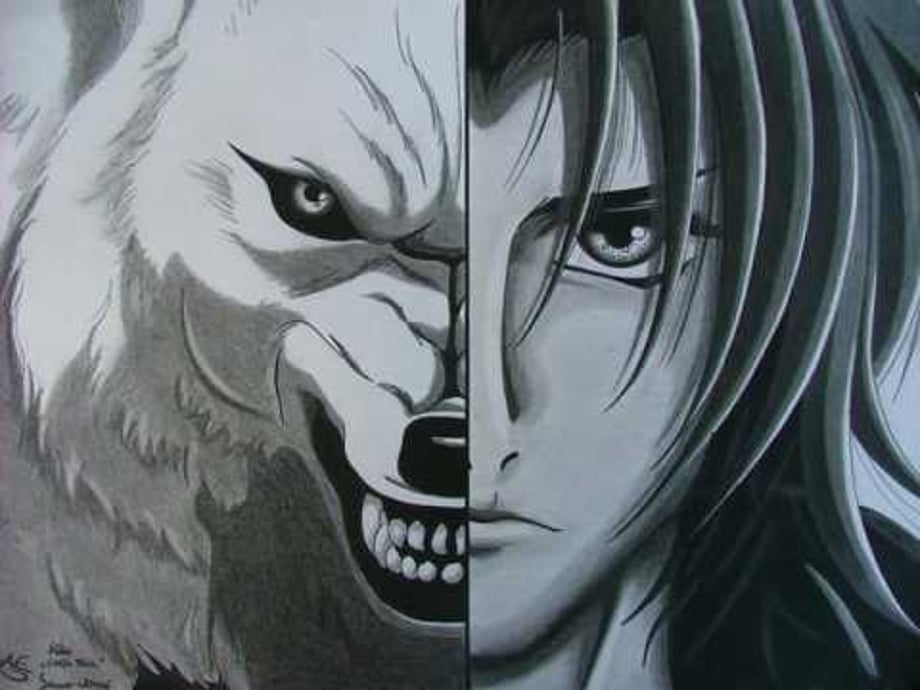 Check Out The WOLF'S RAIN "The Journey to Paradise" Official Clip